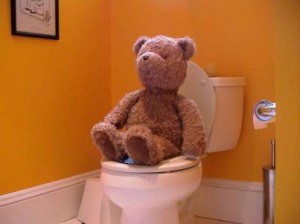 Toilet Teddy